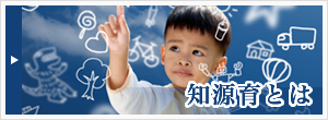 知源育とは